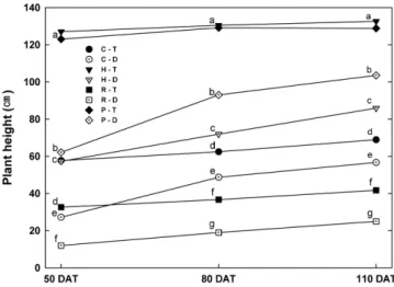 Fig. 1. Effects of different mulching treatments on the plant  height of foxtail millet (C : Control, H : Hairy vetch,  R : Rye, P : P.E