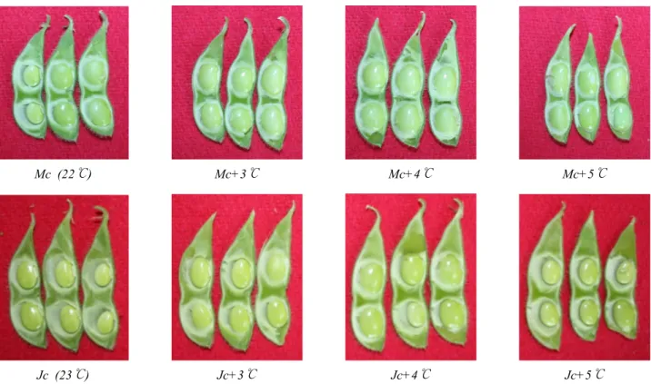 Fig. 4. Features of seed development in R5 stage of Daewonkong with different planting date and growth temperature.