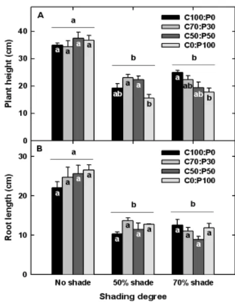 Fig. 1. Shoot (A) and root (B) lengths of Taraxacum officinale plants grown under different shading degrees (from  no shade to 70% shade) and substrate components (A,  coco peat 100 : perlite 0; B, coco peat 70 : perlite  30; C, coco peat 50 : perlite 50; 