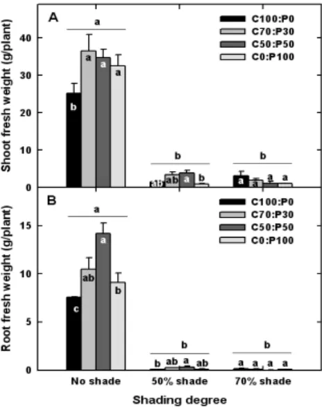 Fig. 3. Leaf area (A) and chlorophyll content (B) of Taraxacum officinale different shading degrees (from no shade to  70% shade) and substrate components (A, coco peat  100 : perlite 0; B, coco peat 70 : perlite 30; C, coco  peat 50 : perlite 50; and D, c