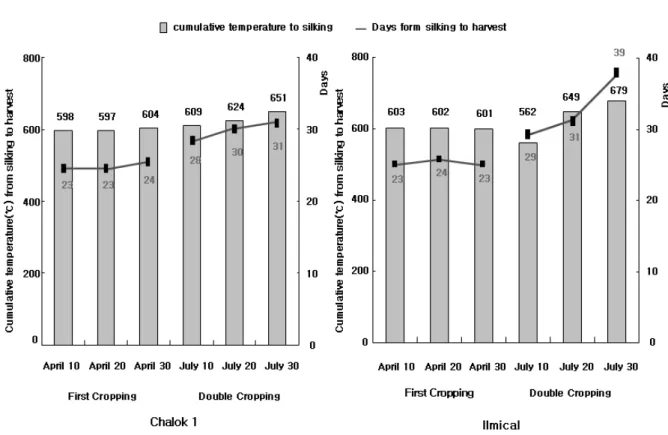 Fig. 2. Variation of accumulated temperature from silking to harvesting dates in waxy corn plants according to the different  sowing dates.