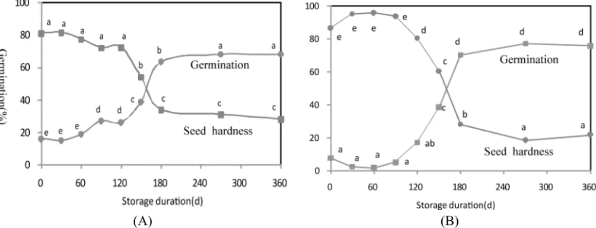 Fig. 1. Change of physical dormancy and seed hardness ratio of freshly harvested crimson(A) and Vicia angustifolia(B) seeds  as influenced by storage duration in cage house.