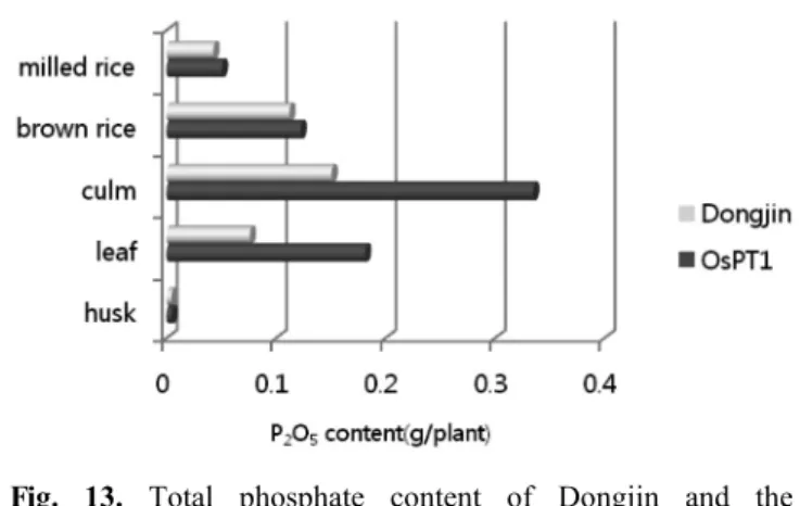 Fig. 12. The changes of Av. P 2 O 5  content of soil (fertilizers; 