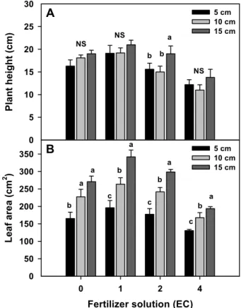 Fig. 1. Combined effects of container size and fertilizer  solution on plant height (A) and leaf area (B) of  vinca plant
