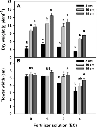 Fig. 3. Combined effects of container size and fertilizer  solution on chlorophyll content of vinca plant