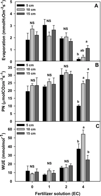 Fig. 4. Combined effects of container size and fertilizer  solution on specific transpiration (Evaporation) (A),  CO2 assimilation (PN) (B) and water use efficiency  (WUE) (C) of vinca plant