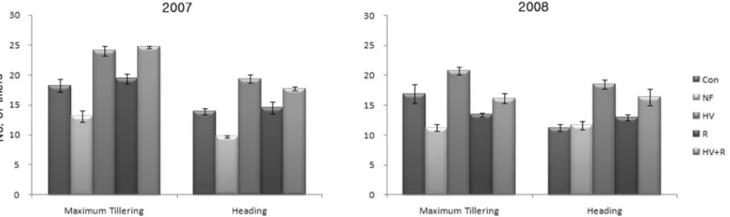 Fig. 2. Change of number of tillers at maximum tillering and heading growth stages of rices cultivated with treating the hairy  vetch and rye as green manure crops for two years, 2007 and 2008 (The bars represents the standard error).