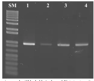 Table 1. Antioxidative activity of C3GHi rice extract in  various free radical generating system.