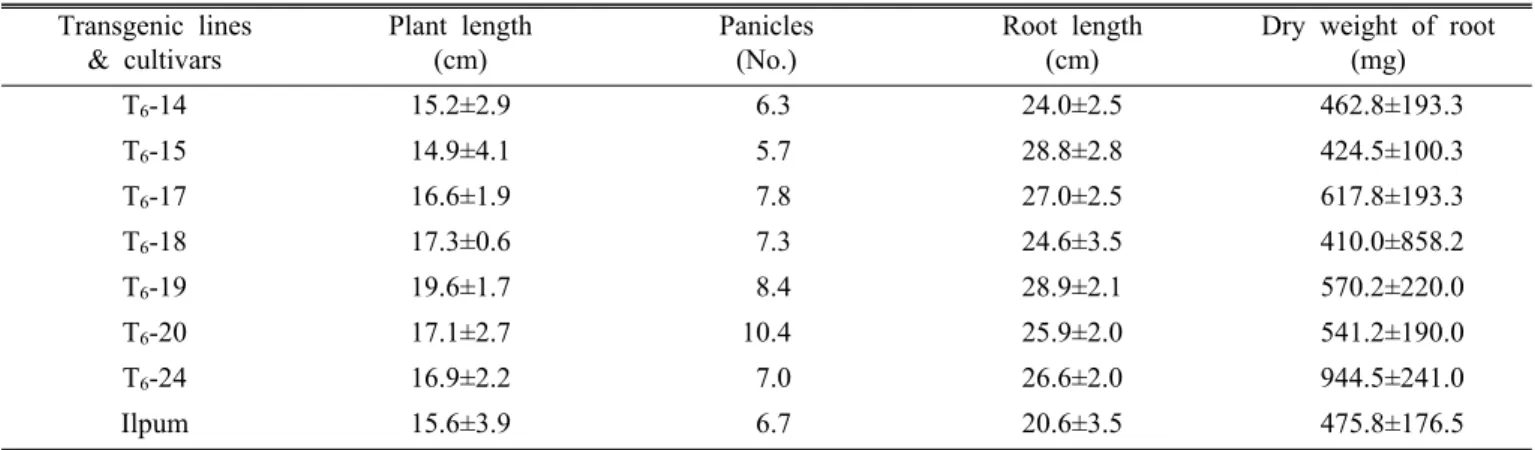Fig. 1. Growth rate of water solution at CAX1 transgenic plants.