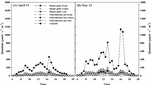 Fig. 3. Photosynthetically active radiation(PAR) response on cloudy days at the front, center, and rear rows of ginseng bed  affected by shade plate and polyethylene net on April 11(A), and May 15(B), 2003