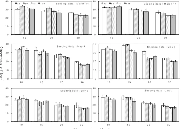 Fig. 4. Greenness of leaf (SPAD value) in chalok# 1 (left) and chalok# 4 (right) as affected by seeding date, plug cell size  and nursery day
