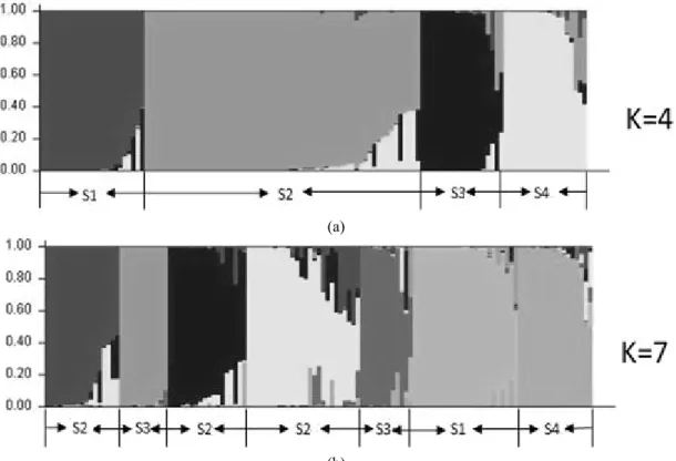 Fig. 3. Model-based clustering for each of the 125 rice landrace accessions examined based on the 29 SSR markers used to  build the Q matrix.