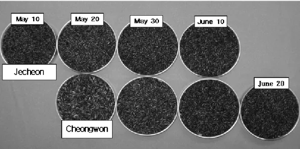 Fig. 2. Comparison of brown rice quality according to the different transplanting dates and agroclimatic zones