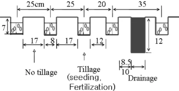 Fig. 1. Layout of partial tillage seeding (left) and seeder (right).
