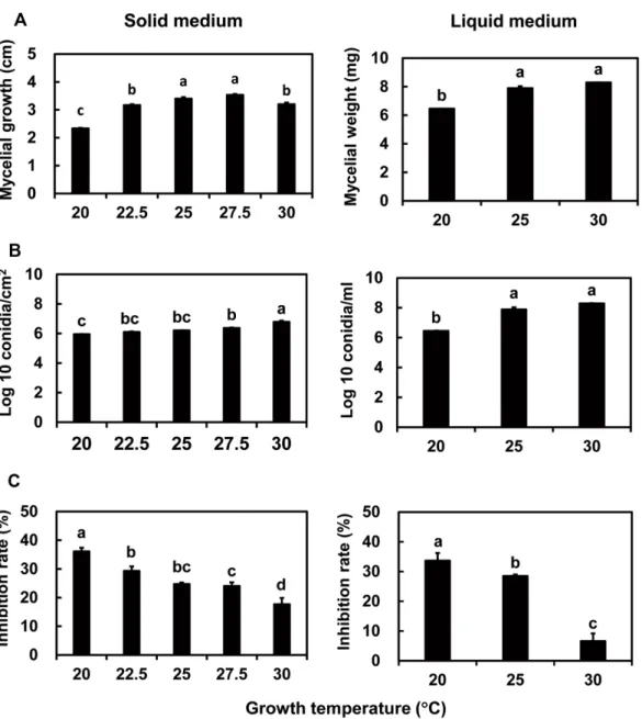 Fig. 1. Effects of temperature on fungal mycelia (A), spore formation (B), and antifungal activity (C) of Isaria javanica pf185 grown on Sab- Sab-ouraud dextrose yeast extract medium