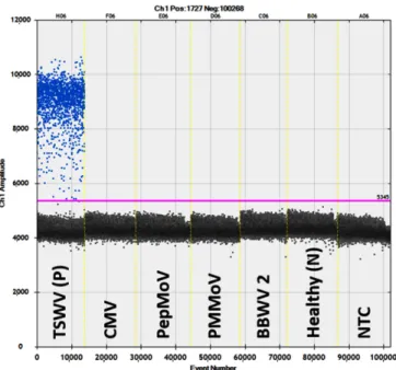 Fig. 3. Specificity and cross-reactivity testing of reverse transcrip- transcrip-tion droplet digital polymerase chain reactranscrip-tion assay for detectranscrip-tion  of tomato spotted wilt virus (TSWV)