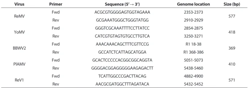 Table 1. List of primers used to detect viruses in rehmannia