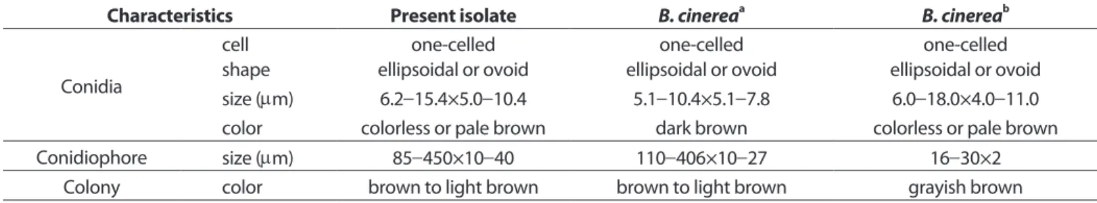 Table 1. Comparison of mycological characteristics of the present isolate obtained from okra (Abelmoschus esculentus) and Botrytis  cinerea as previously described