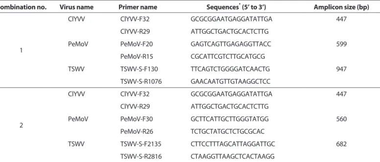 Table 1. Oligonucleotide sequences for the two different primer combinations used for the detection of the three viruses