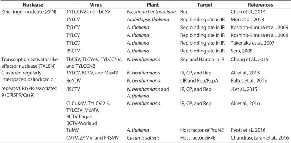 Fig. 5. Engineering plants for virus resistance with CRISPR/Cas9 system. Components of the CRISPR/Cas9 machinary, gRNA, and Cas9, are  expressed from the plant genome and form gRNA-Cas9 complex