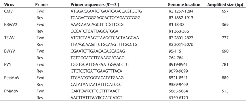 Table 1. List of pepper-infecting virus detection primers used in this study 