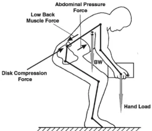 Fig. 2 Simplistic diagram of sagittal model [9]