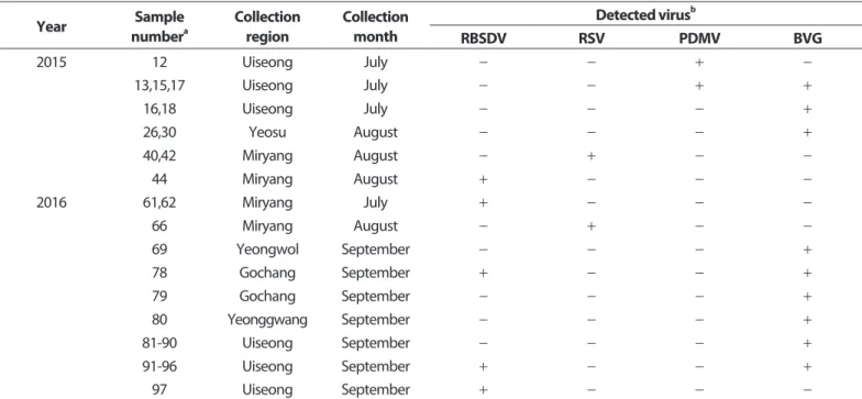 Table 4. Result of RT-PCR detection of proso millet samples using specific primers