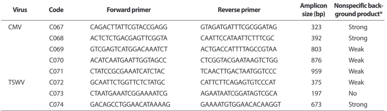 Fig. 1. Gel images of nonspecific background products on four different RT-PCR mixtures