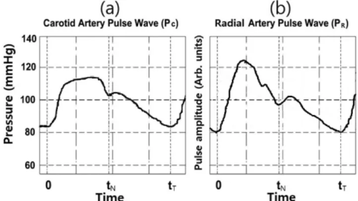 Fig. 3. The typical waveforms for two pulses obtained from the clip- clip-type pulsimeter