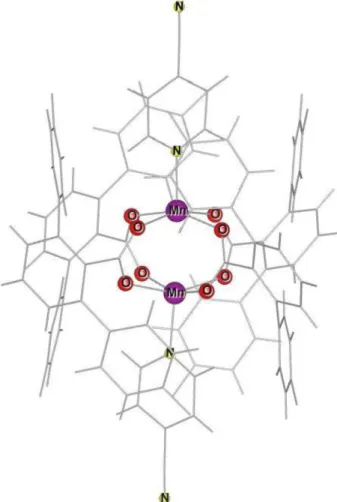 Fig. 1. (Color online) The structure of Mn-dimer. We represent only Mn, O and N atoms for simplicity.