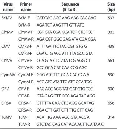 Table 2. Primer sets used to amplify the complete genome of Cymbidium mosaic virus (CymMV) isolated from Calanthe spp.