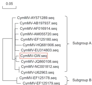 Fig. 4. Phylogenetic analysis based on the nucleotide sequences  (seq) of the Korean Cymbidium mosaic virus (CymMV) isolate and  12 additional CymMV isolates.