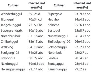 Table 4. Development of gummy stem blight on four watermelon  cultivars according to incubation period in dew chamber after  in-oculation*