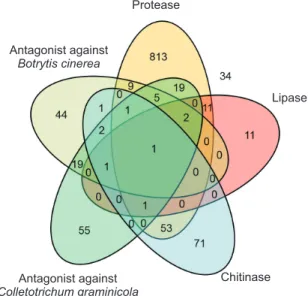 Fig. 1. Enzymatic and antagonistic activities against Botrytis ci­