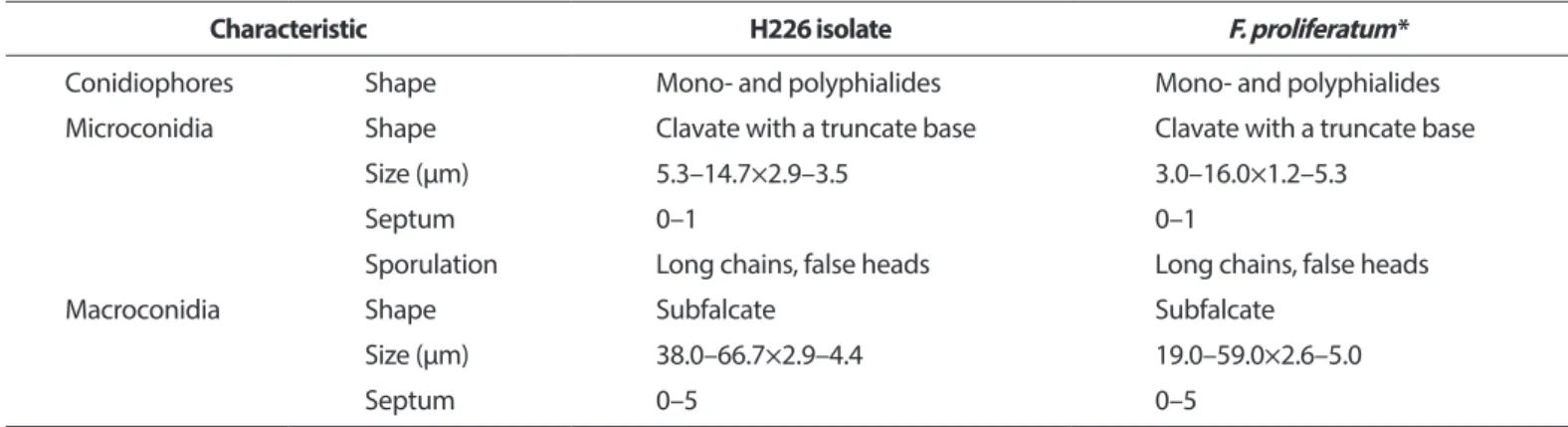 Table 1. Comparison of morphological characteristics between H226 isolate from safflower wilt and Fusarium proliferatum described pre- pre-viously