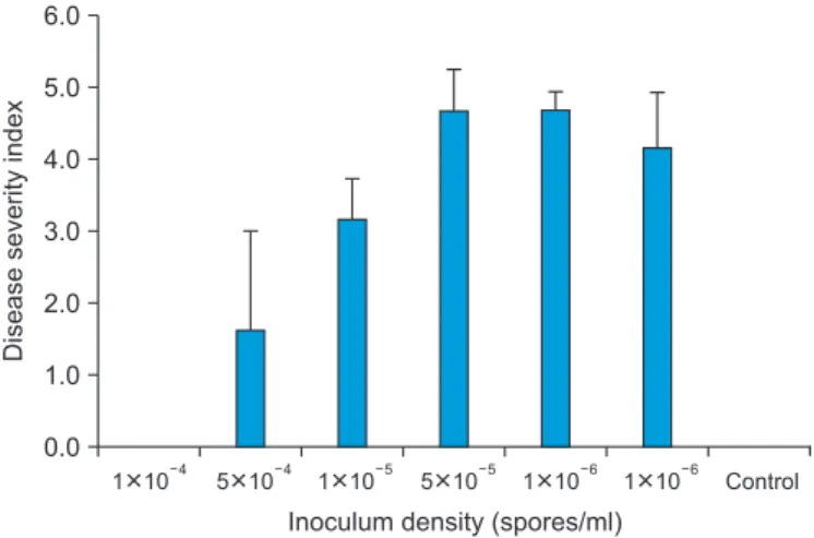 Fig. 2. Effect of inoculum density on the development of cucum- cucum-ber scab caused by Cladosporium cucumerinum PT1
