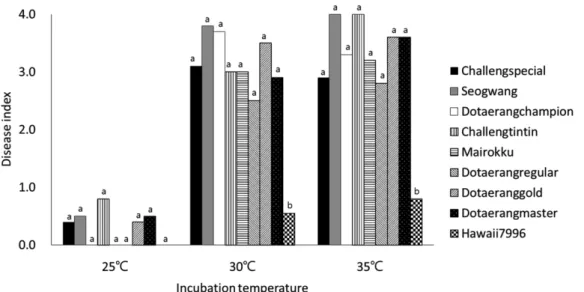 Fig. 4. Development of bacterial wilt on tomato seedlings of nine cultivars according to incubating temperature after inoculation