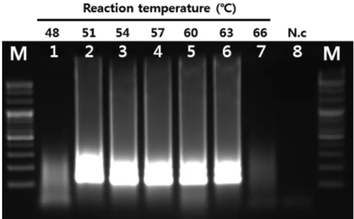 Fig. 2. Optimal reaction time of RT-LAMP. LAMP was performed under  range of 10 to 120 min