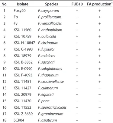 Fig. 1. Alignment of partial sequences of the FUB10 gene from Fusarium species generated using Clustal W method