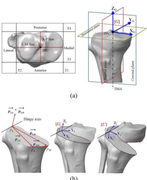 Fig. 1 (a)  Definition  of  the  global  coordinate  system {G} of the tibia positioned at tibial plateau center (TPC),  (b)  definitions  of  two  local  coordinate systems  using  the  points  p A ,  p M   and  p L   on  the cutting plane: {L} for the pr