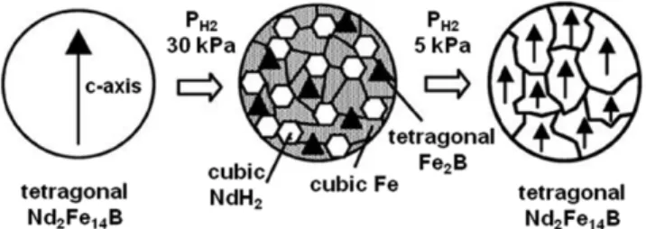 Fig. 8. A schematic illustration of fabrication process of Nd-Fe-B die-upset magnets [31].
