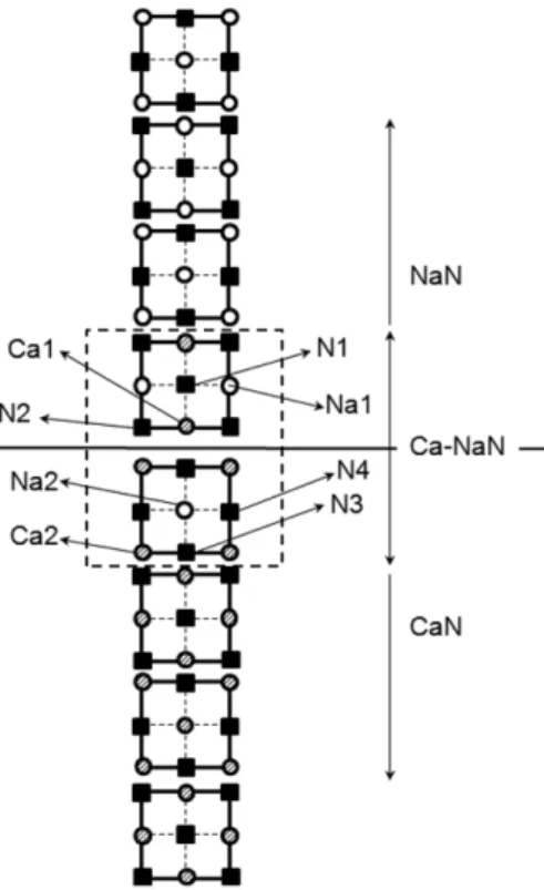 Fig. 1. Geometrical structure for the RS NaN-CaN simple interface system.