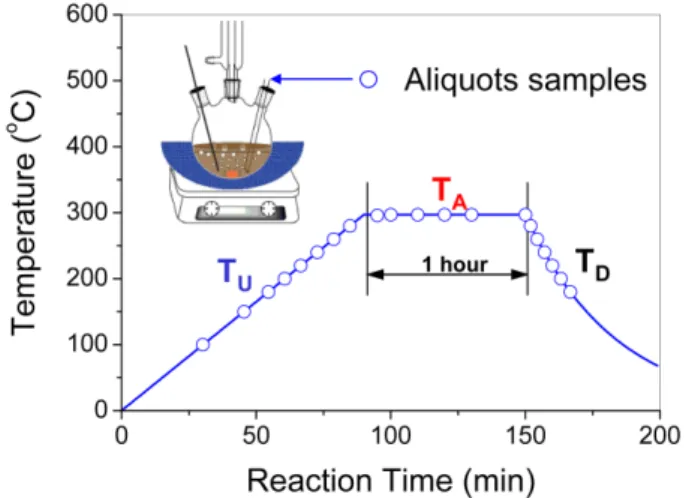 Fig. 2. (Color online) DCS traces of Fe(OL) 3 . The transitions indicated by arrows correspond to two step decomposition of  OL-chain, and others correspond to the formation of iron oxide nanoparticles, respectively.