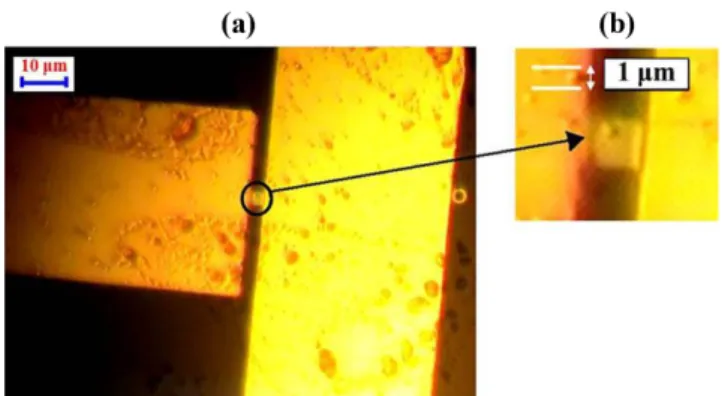 Fig. 7. Comparison of magnetic bead dropping; Minor loops of (a) before and (b) after magnetic bead dropping