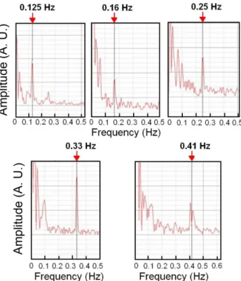 Fig. 3. (Color online) The FFT spectrum peaks with 0.125 Hz, 0.16 Hz, 0.25 Hz, 0.33 Hz, and 0.41 Hz corresponding to 15, 20, 30, 40, and 50 tempos