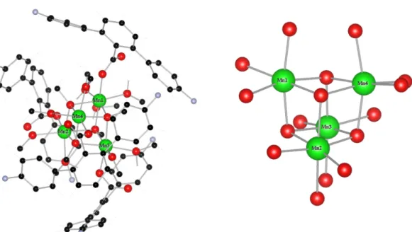 Fig. 1. (Color online) (a) The structure of Mn 4  cubane. (b) The strucure of Mn-O.