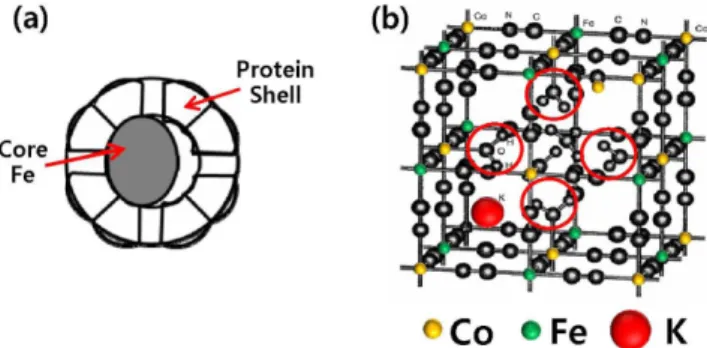Fig. 1. (Color online) (a) Schematic sketch of the crystal structure of Ferritin. (b) Crystal structure of the KCo[Fe(CN) 6 ] · H 2 O Prussian Blue Analogue.