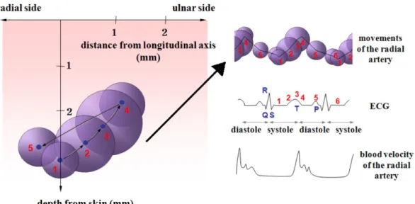 Fig. 3. (Color online) A schematic of the simultaneous measuring method of a blood velocity using radial artery pulse waveform and PPG pulse waveform.