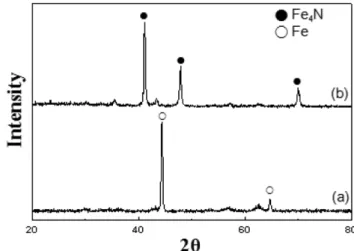 Fig. 3. XRD pattern of nano-sized Fe particles. Fig. 4. XRD patterns of powders after heat treatment by NH 3 +H 2
