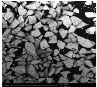 Fig. 8. The SEM image of Fe 17 Sm 2 N x  powders prepared by nitriding after reduction/diffusion.
